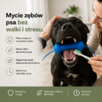 DentoGrip - Mycie zębów bez walki w 2 minuty.