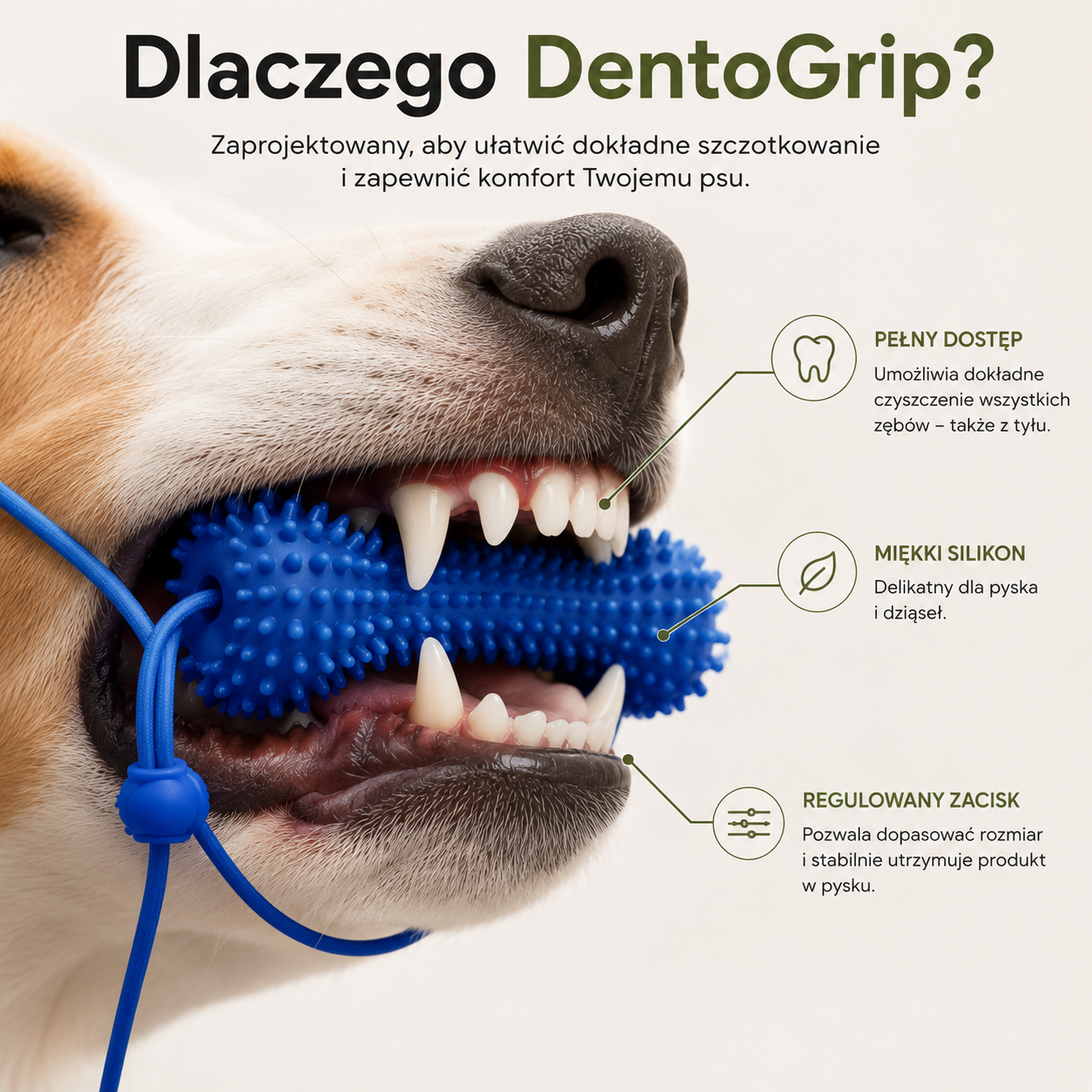 DentoGrip — akcesorium ułatwiające mycie zębów psa